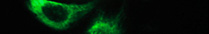 Fluorescence Spectroscopy